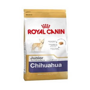 Chihuahua junior Royal Canin
