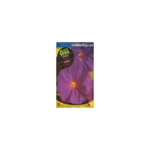 Flor campanilla violeta Ipomea